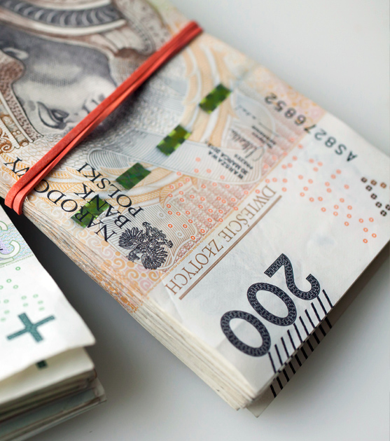 Kredyt walutowy - czy się opłaca?